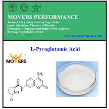 High Quality L-Pyroglutamic Acid CAS#: 98-79-3